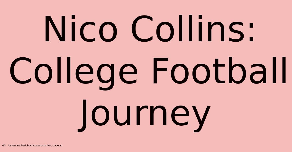 Nico Collins: College Football Journey