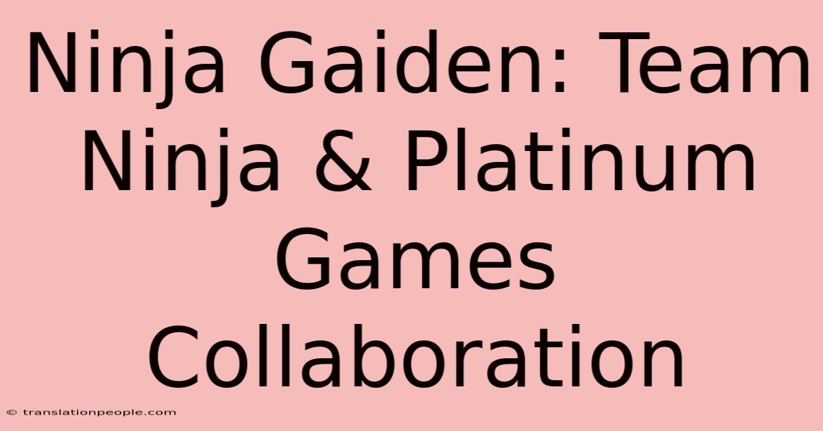 Ninja Gaiden: Team Ninja & Platinum Games Collaboration