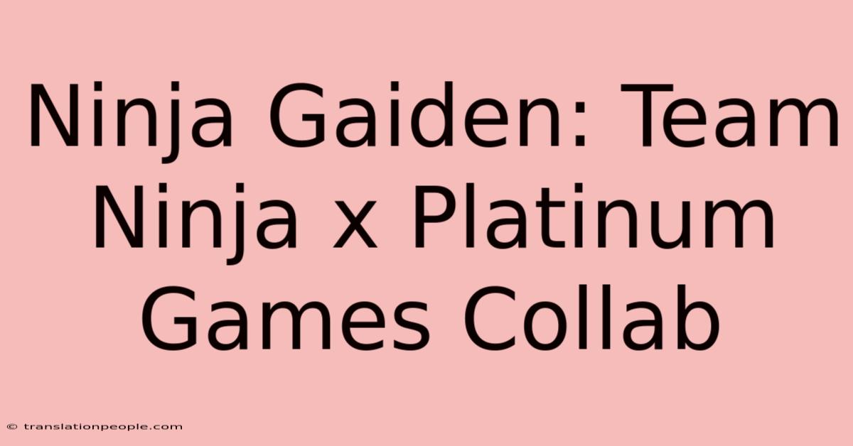 Ninja Gaiden: Team Ninja X Platinum Games Collab