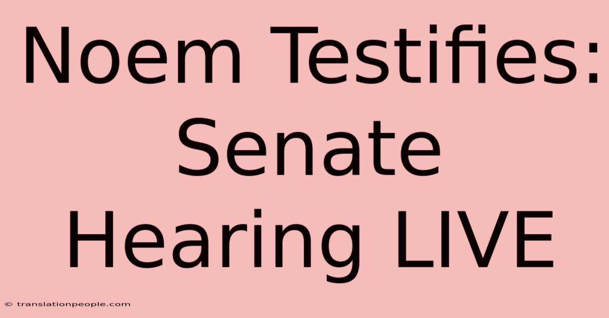 Noem Testifies: Senate Hearing LIVE