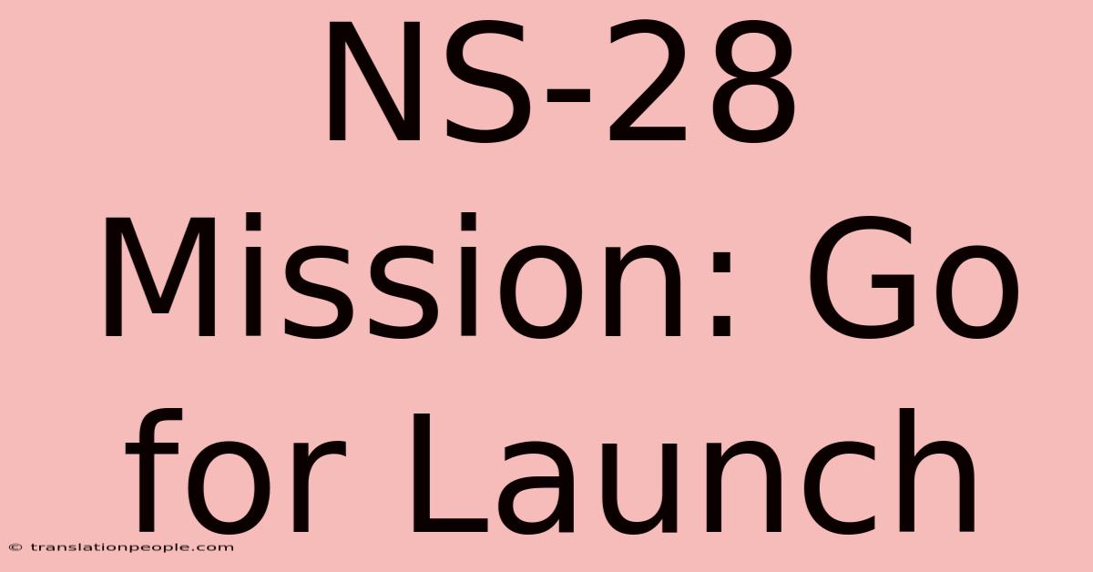 NS-28 Mission: Go For Launch