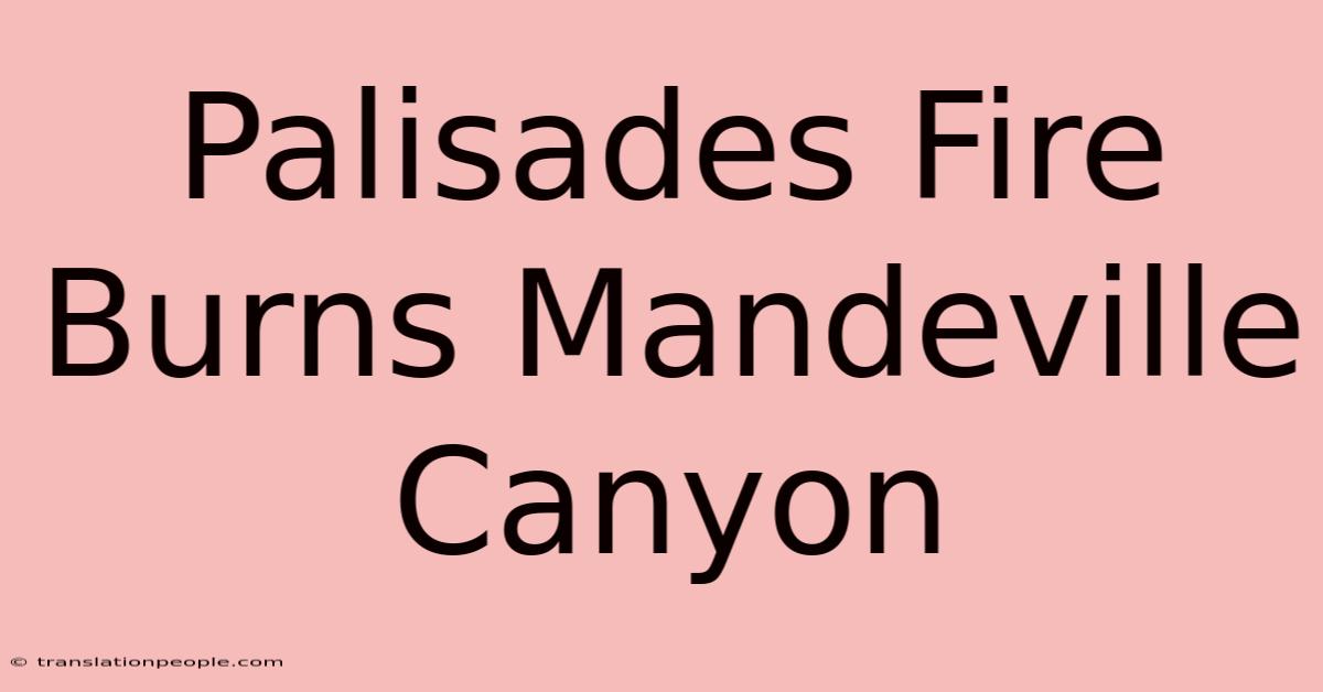 Palisades Fire Burns Mandeville Canyon