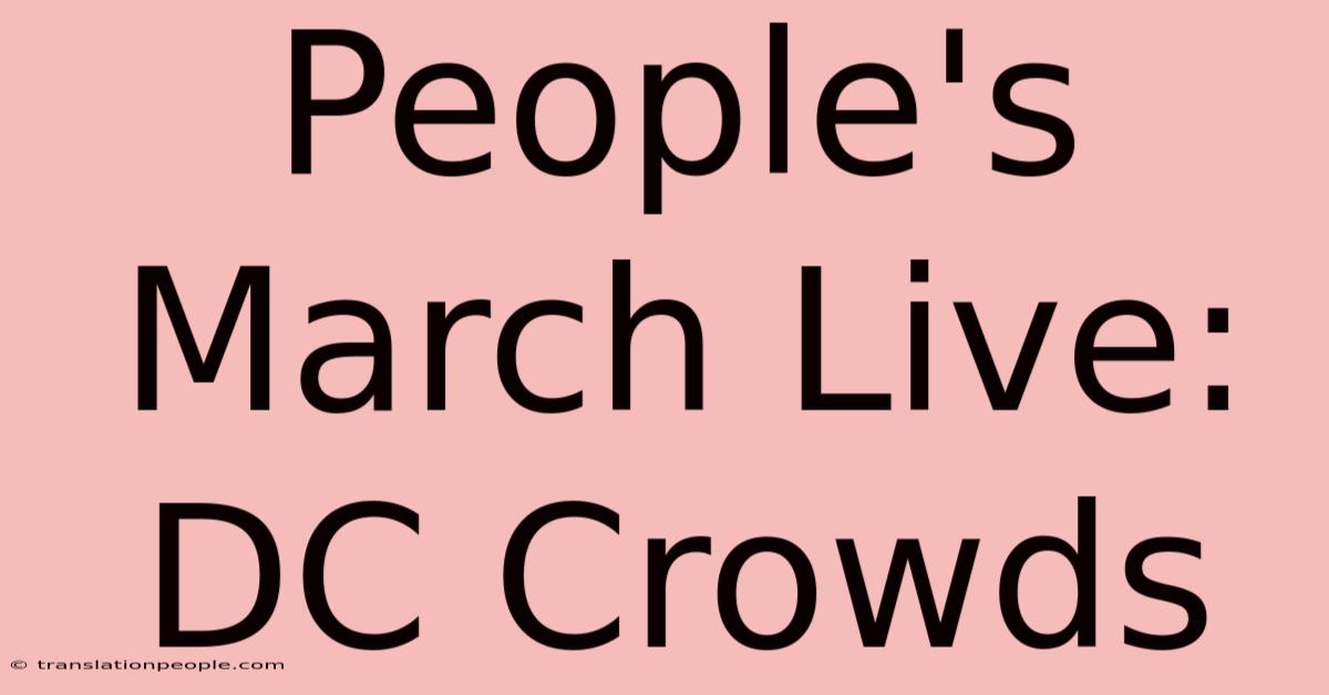 People's March Live: DC Crowds