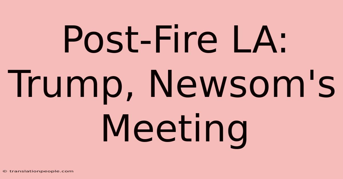 Post-Fire LA: Trump, Newsom's Meeting