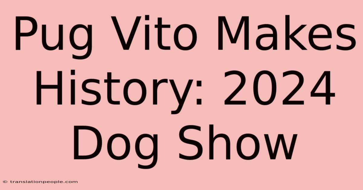 Pug Vito Makes History: 2024 Dog Show