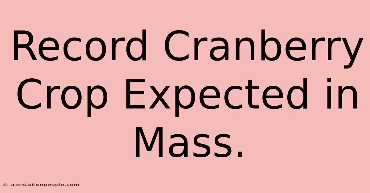 Record Cranberry Crop Expected In Mass.