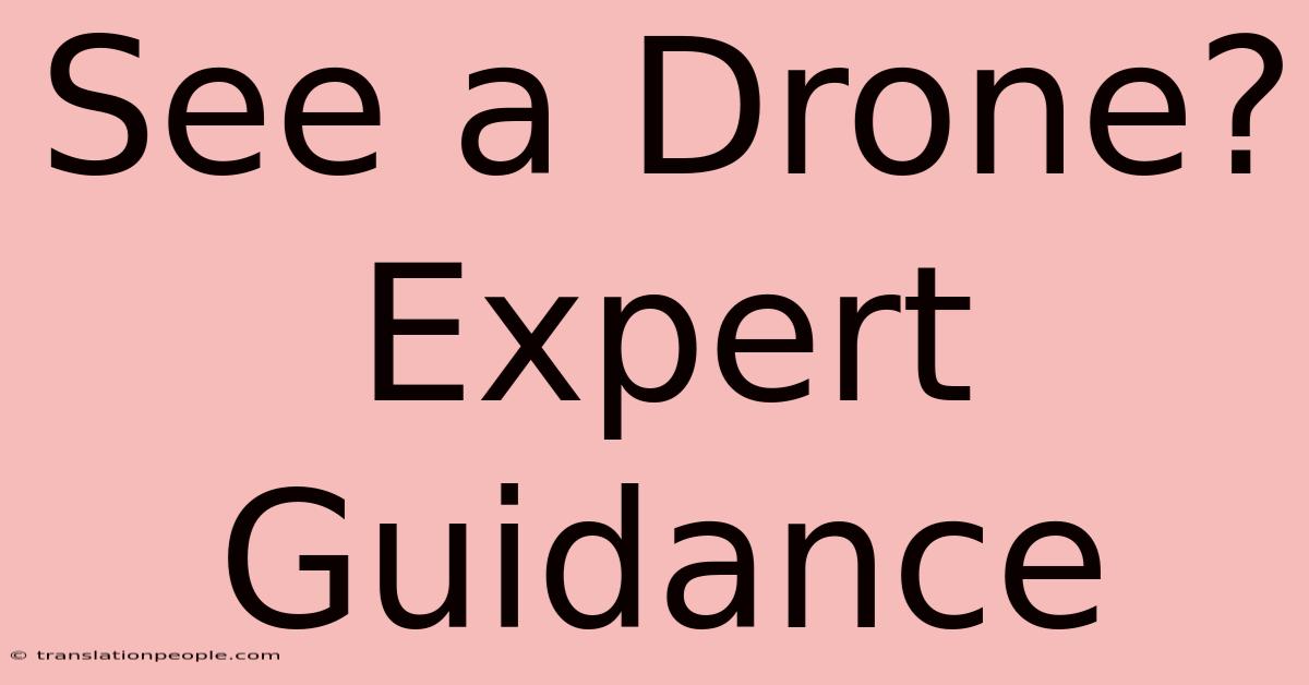 See A Drone? Expert Guidance