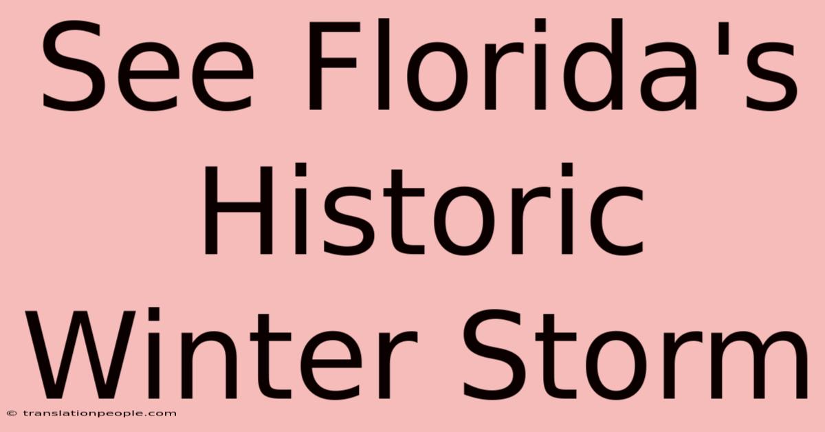 See Florida's Historic Winter Storm