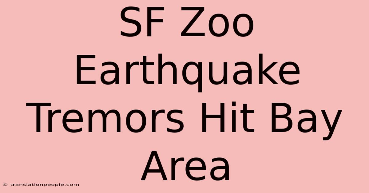 SF Zoo Earthquake Tremors Hit Bay Area