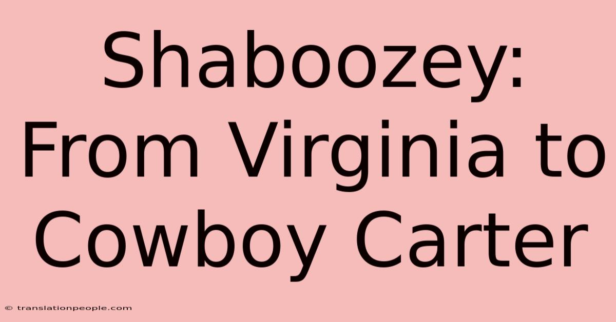 Shaboozey: From Virginia To Cowboy Carter