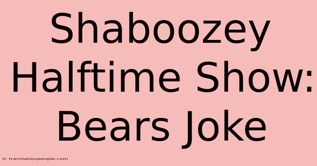 Shaboozey Halftime Show: Bears Joke