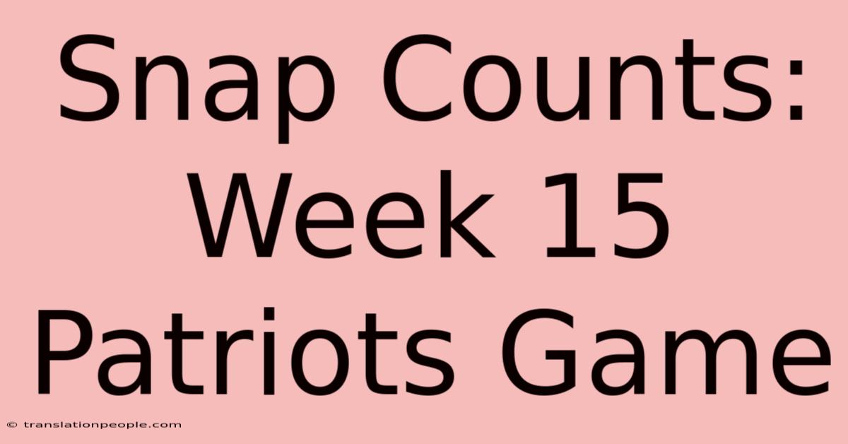 Snap Counts: Week 15 Patriots Game