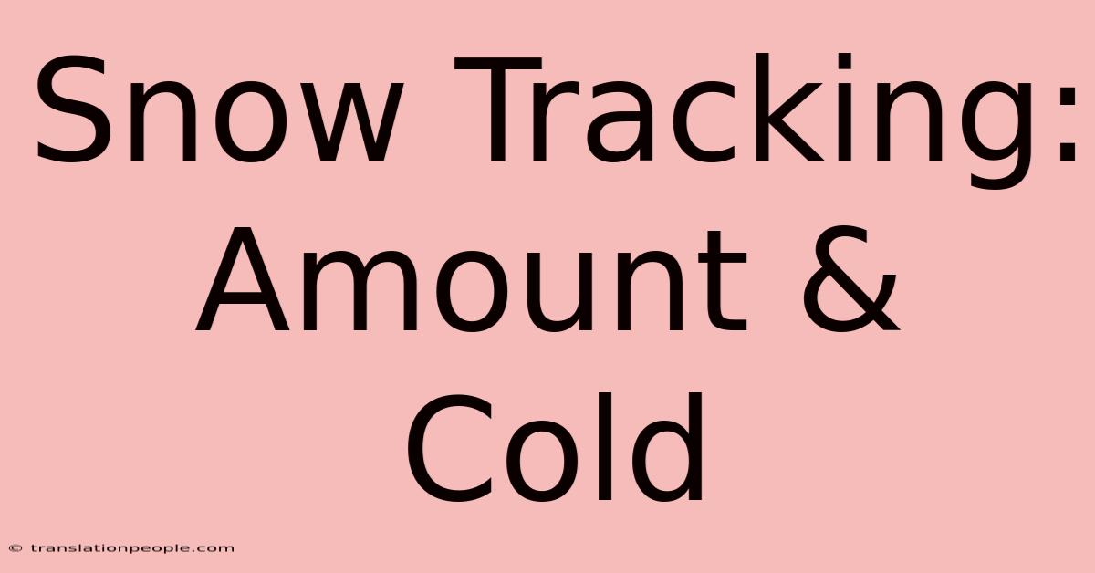 Snow Tracking: Amount & Cold