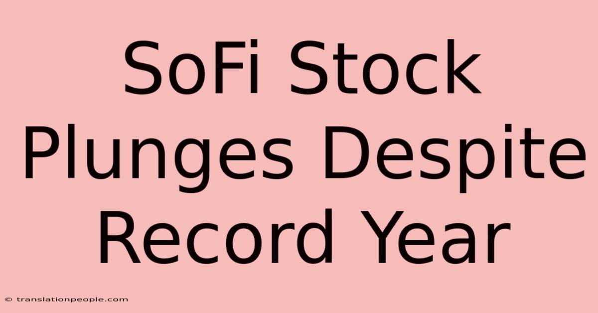 SoFi Stock Plunges Despite Record Year