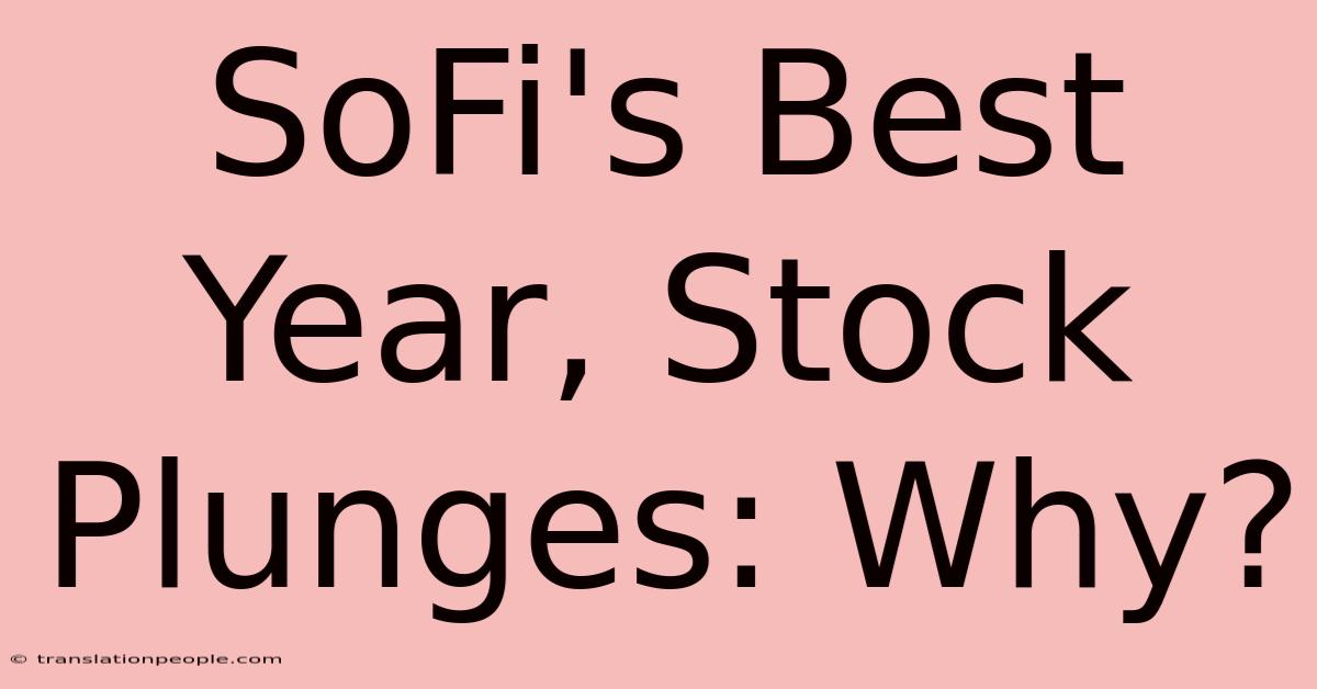 SoFi's Best Year, Stock Plunges: Why?