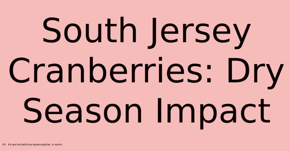 South Jersey Cranberries: Dry Season Impact