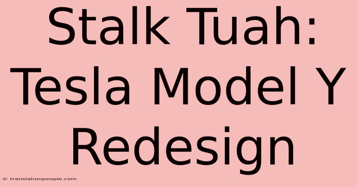 Stalk Tuah: Tesla Model Y Redesign