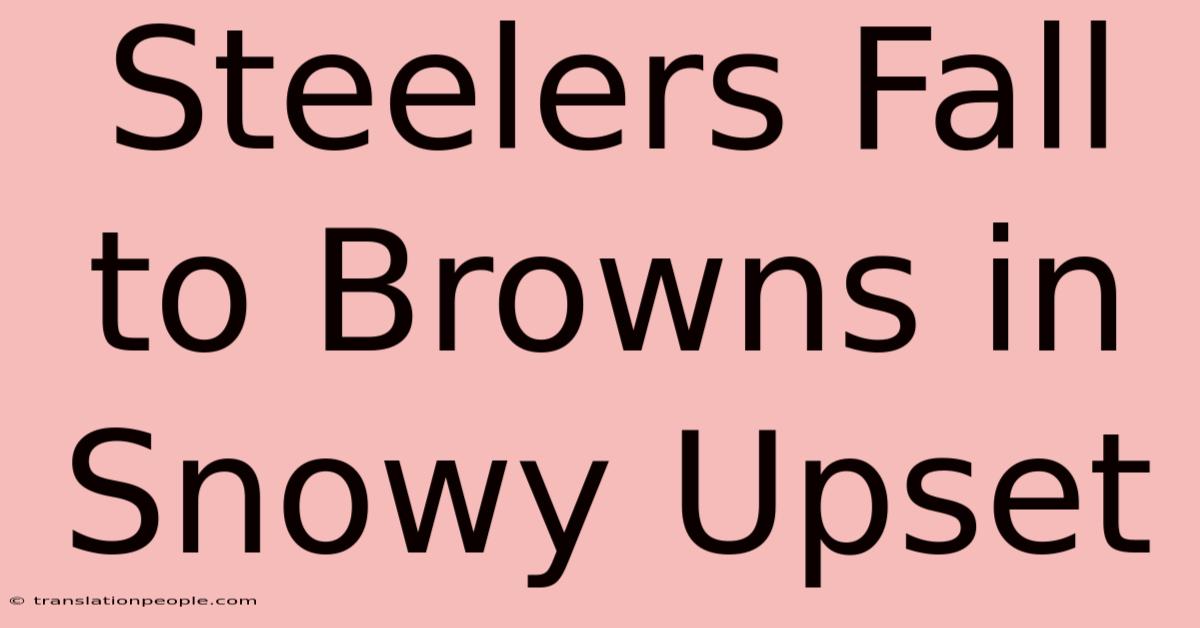 Steelers Fall To Browns In Snowy Upset