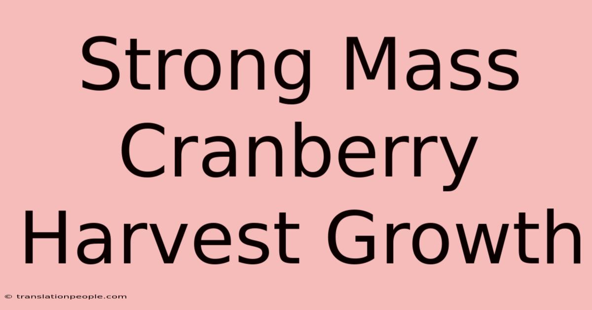 Strong Mass Cranberry Harvest Growth