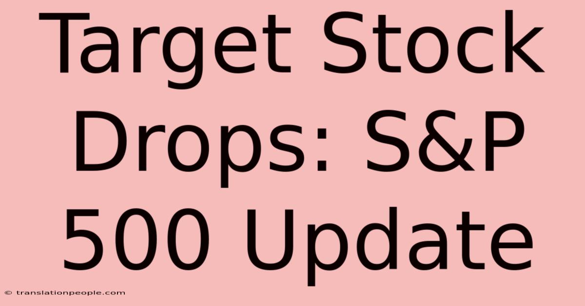 Target Stock Drops: S&P 500 Update