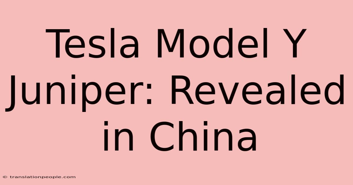 Tesla Model Y Juniper: Revealed In China