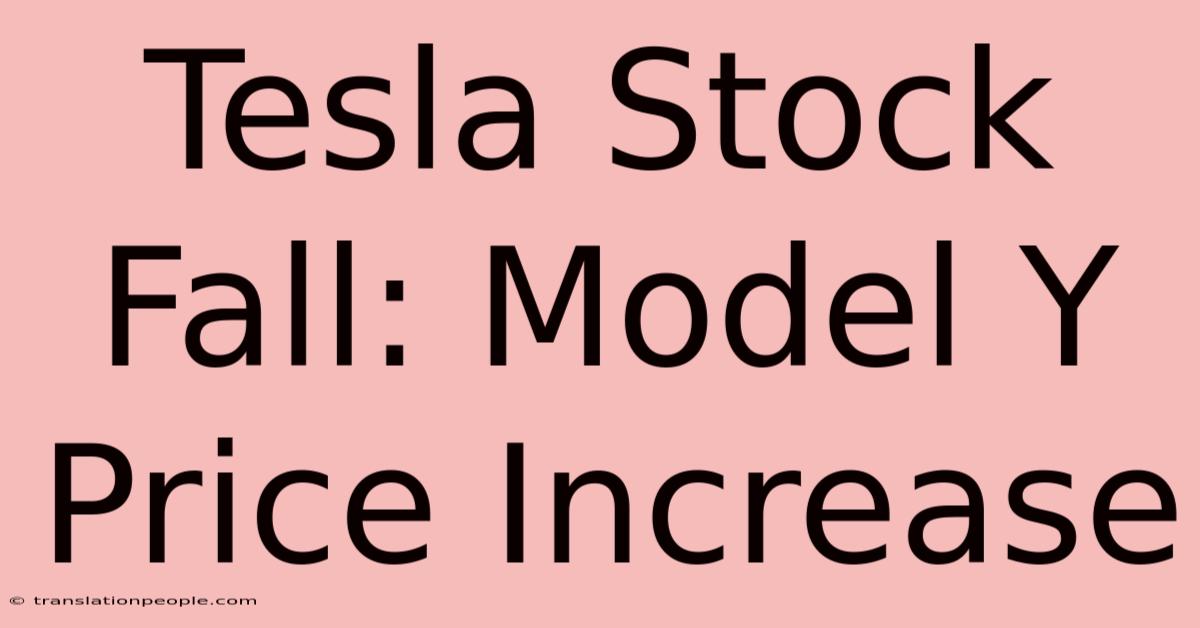 Tesla Stock Fall: Model Y Price Increase