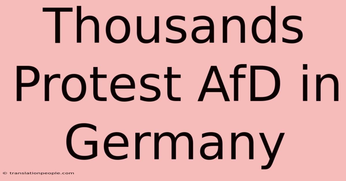 Thousands Protest AfD In Germany