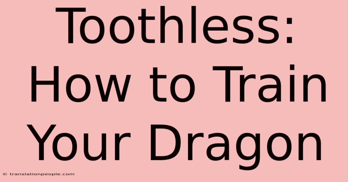 Toothless: How To Train Your Dragon