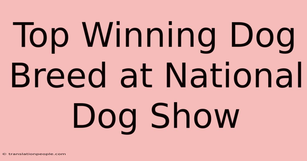 Top Winning Dog Breed At National Dog Show