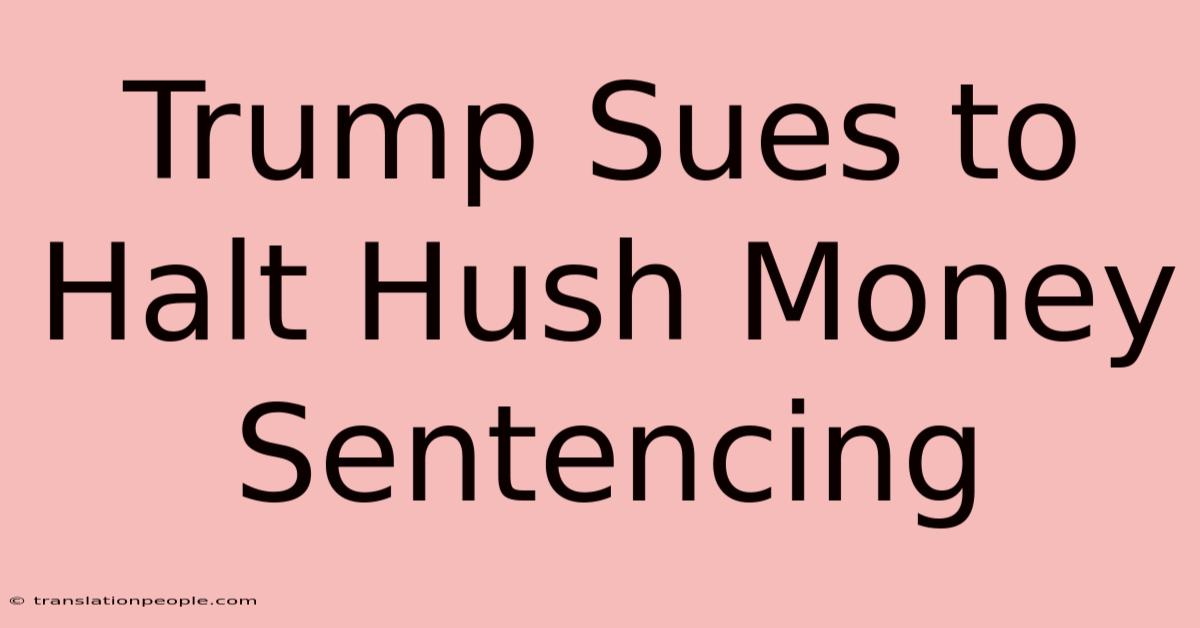 Trump Sues To Halt Hush Money Sentencing