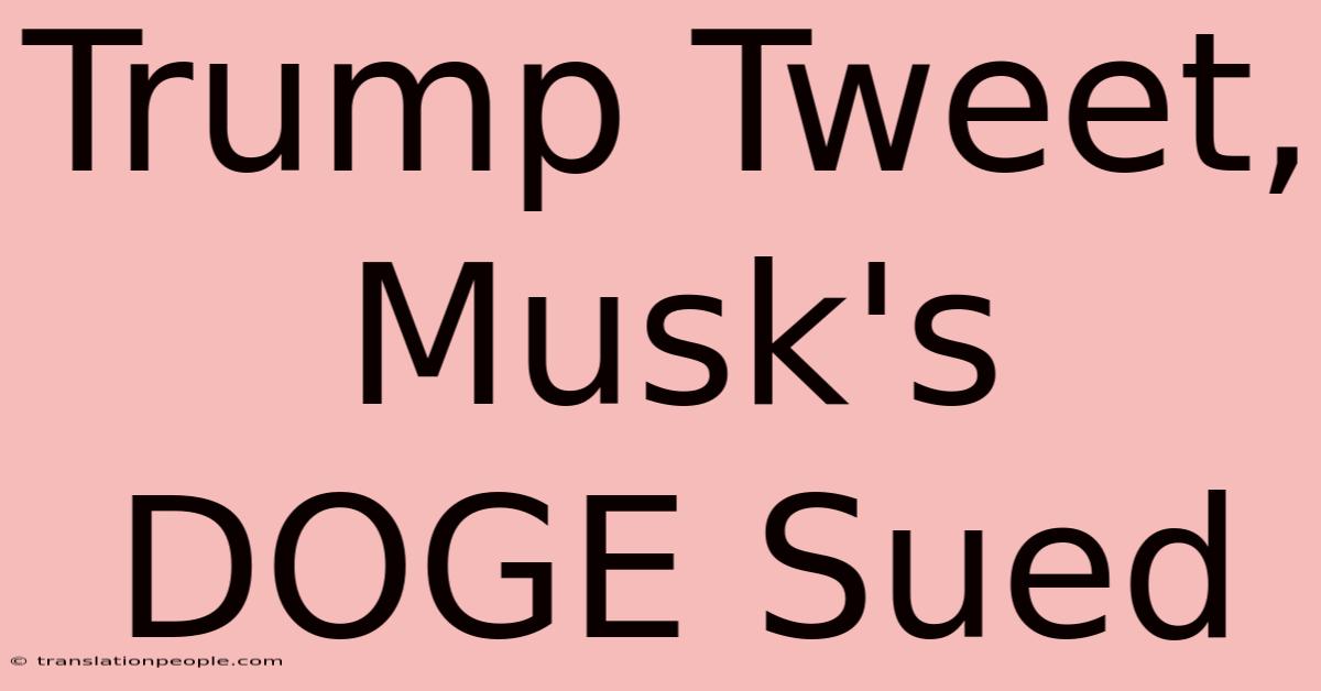 Trump Tweet, Musk's DOGE Sued