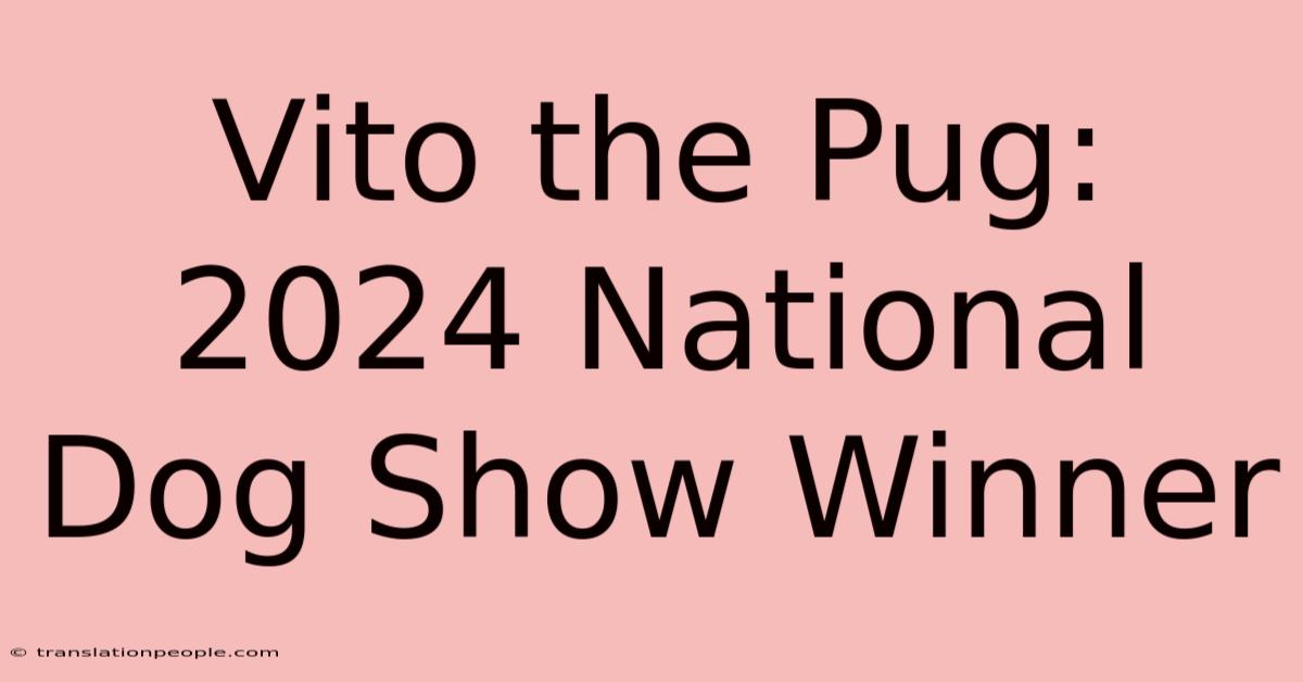 Vito The Pug: 2024 National Dog Show Winner