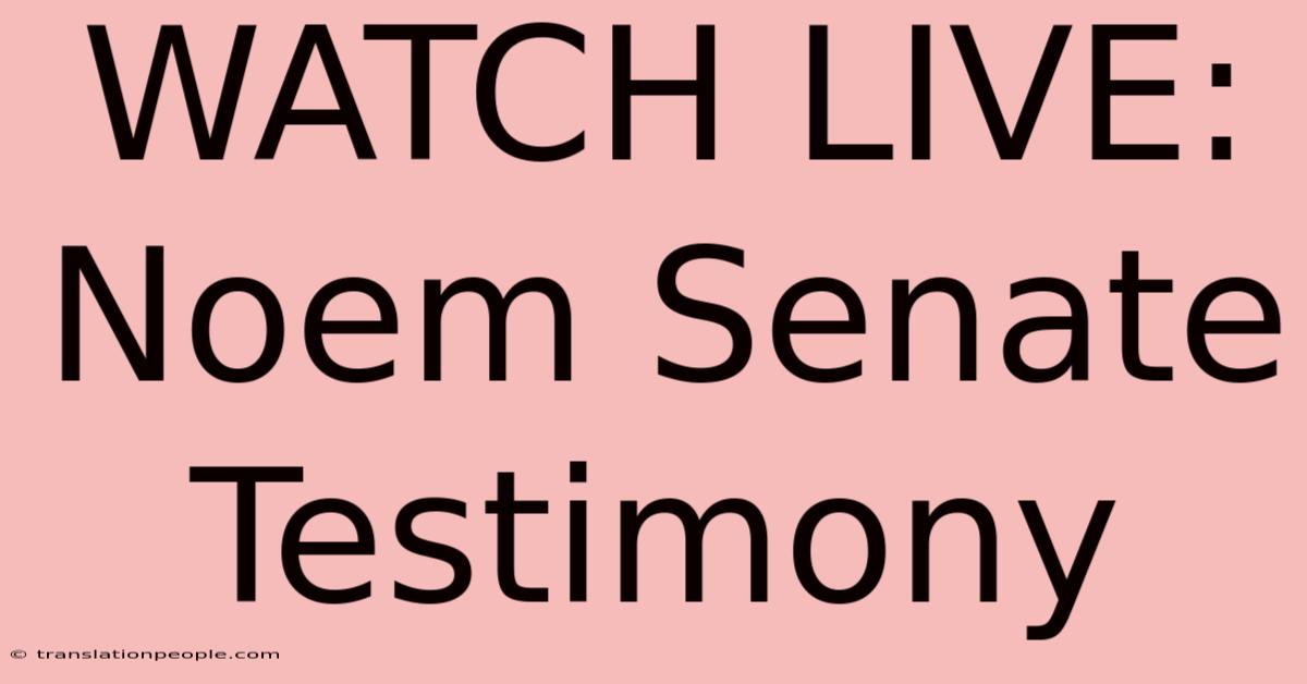 WATCH LIVE: Noem Senate Testimony