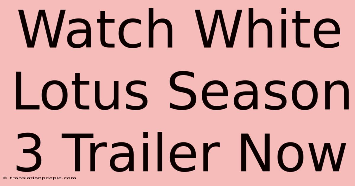 Watch White Lotus Season 3 Trailer Now