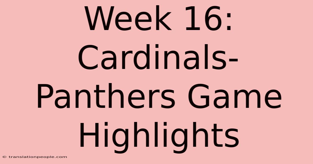 Week 16: Cardinals-Panthers Game Highlights