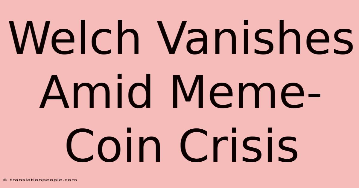 Welch Vanishes Amid Meme-Coin Crisis