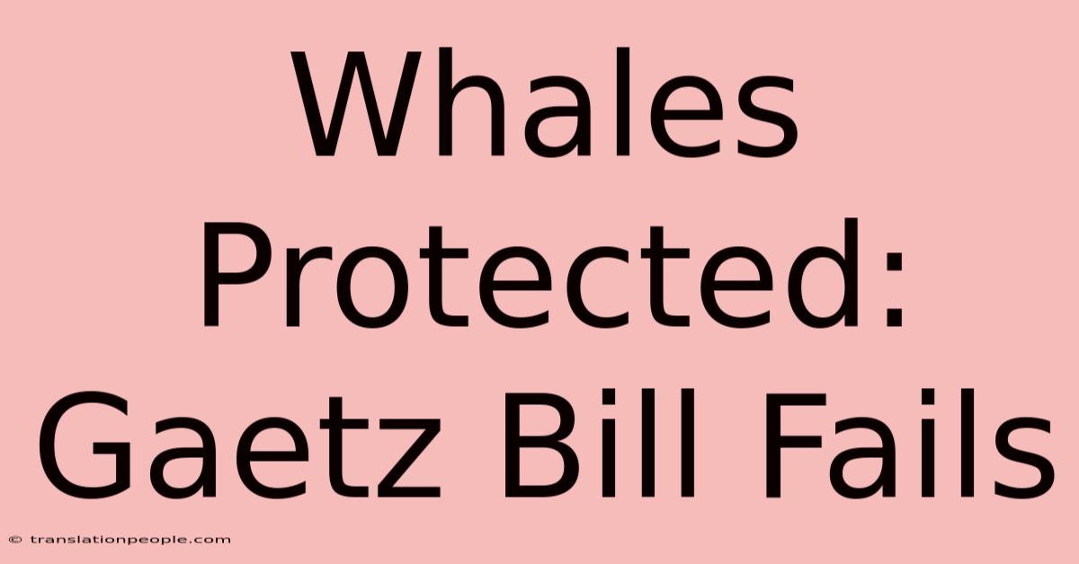 Whales Protected: Gaetz Bill Fails