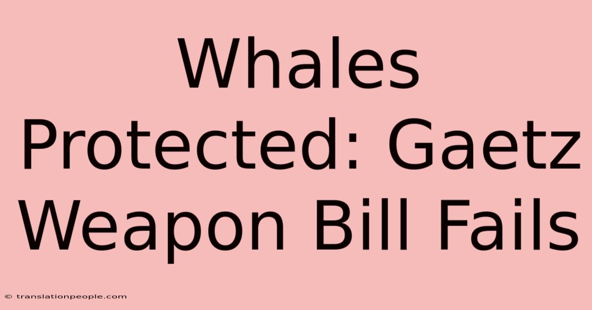 Whales Protected: Gaetz Weapon Bill Fails