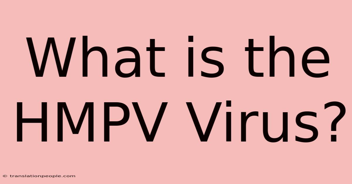 What Is The HMPV Virus?