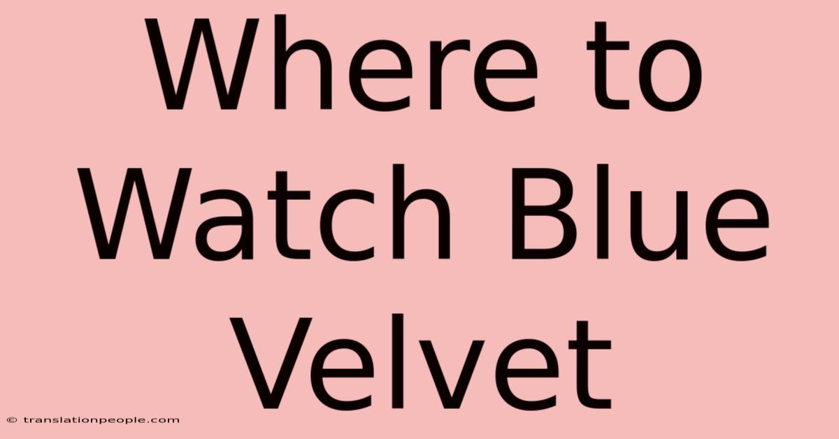 Where To Watch Blue Velvet