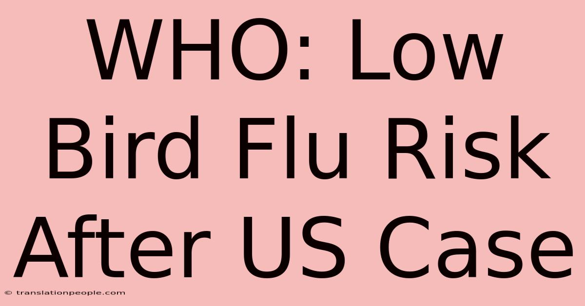 WHO: Low Bird Flu Risk After US Case